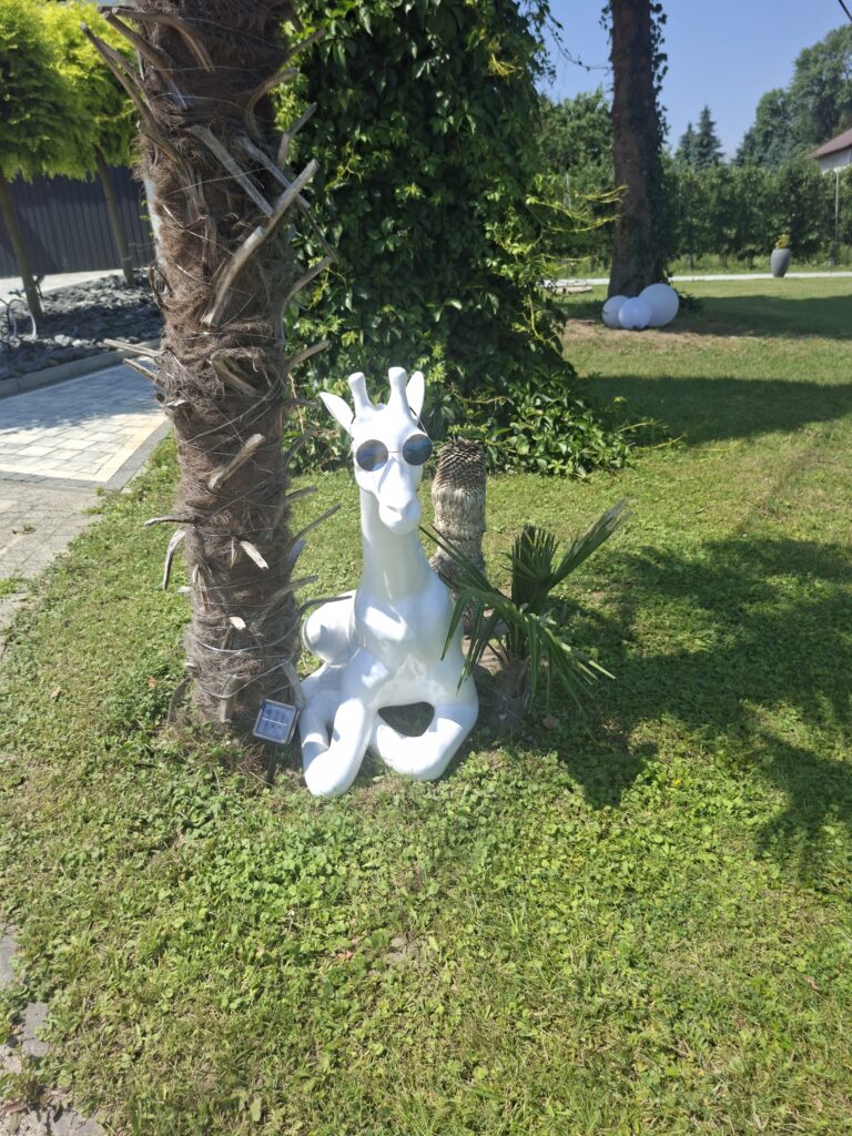 Ogród i miejsce wypoczynku w Marcowych Kątach